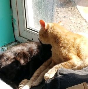 Meet your Posher, Kindra